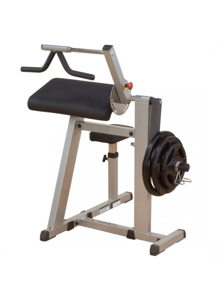 Body-Solid Biceps and Triceps Machine