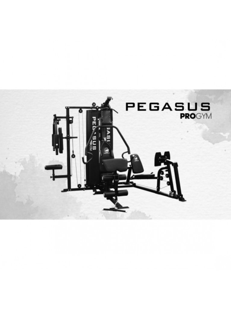 Pegasus® Pro Gym 3 Θέσεων MT-18504-ABC
